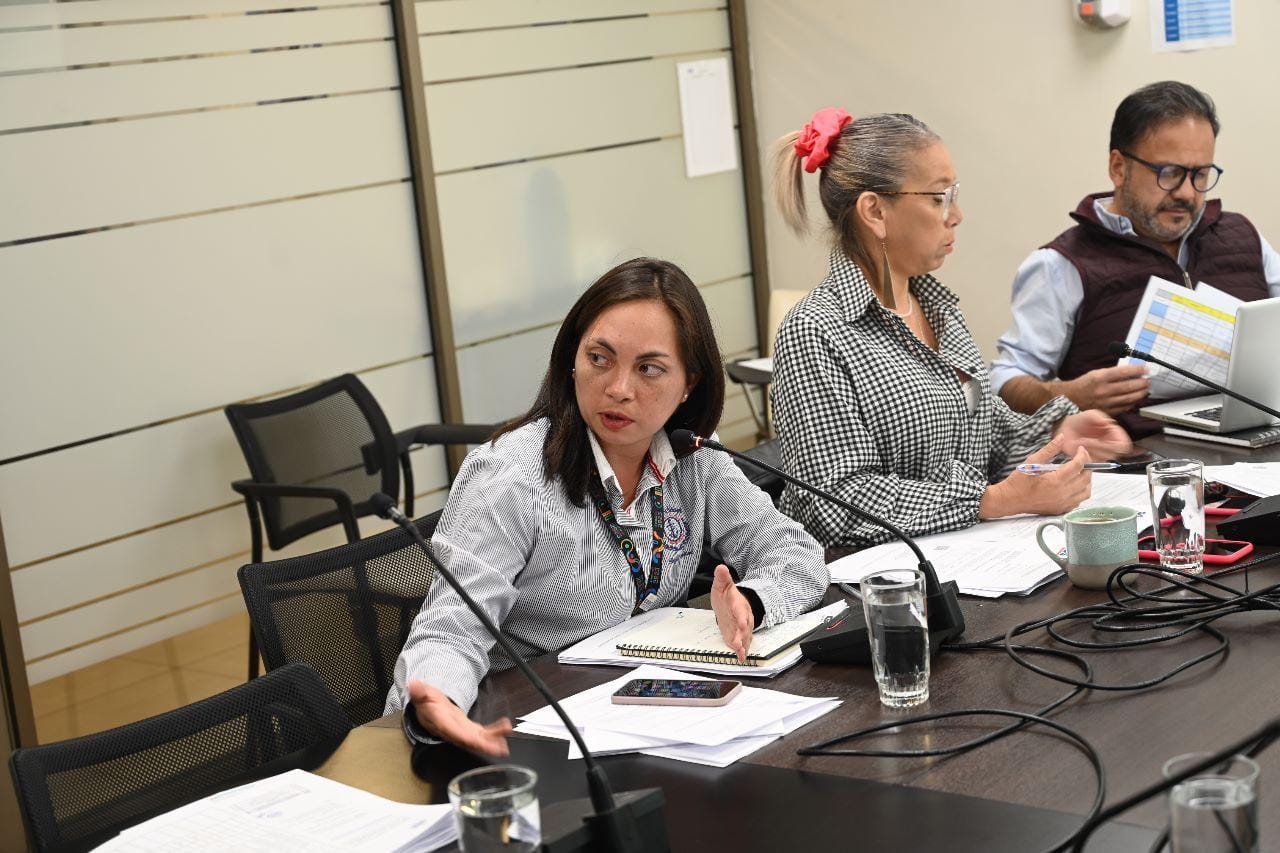 Sofia Munoz Garay opinando sobre un proyecto